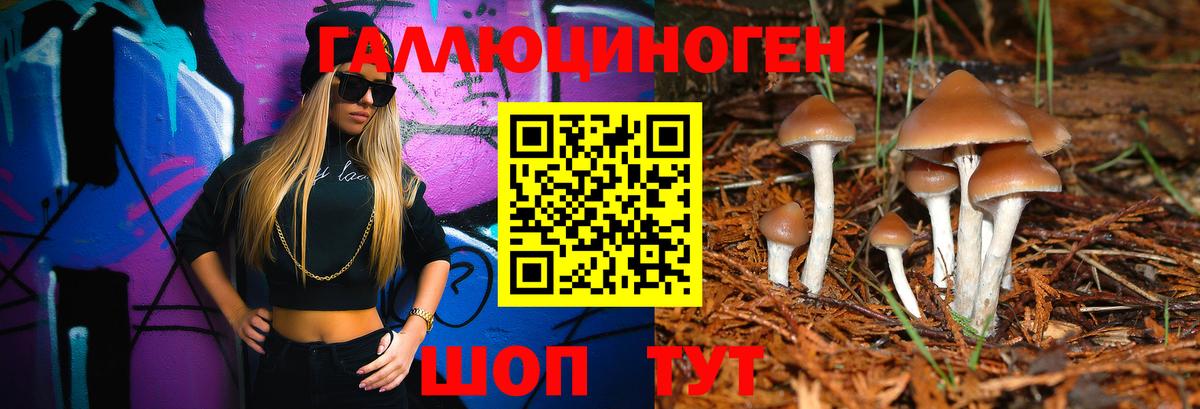 Галлюциногенные грибы мухоморы  Вход с VPN  Торжок  Галлюциногенные грибы MAGIC MUSHROOMS 